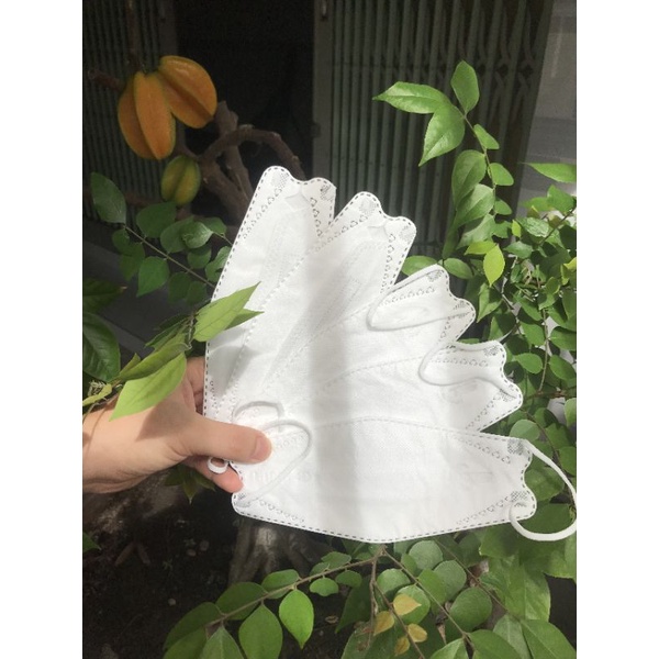 Khẩu Trang Cá Logo Dập Bush TS ( Hộp 10 cái)