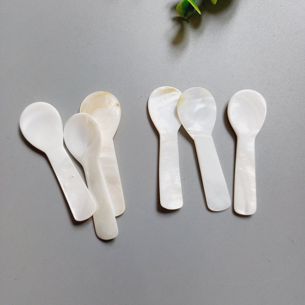 Thìa Trai Trắng Bé Xinh 6cm Múc Gia Vị, Muối Đường, Thìa Trai Trắng Decor Trang Trí Chụp Ảnh Của Vitrapro