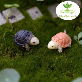 Cặp rùa núi trang trí tiểu cảnh