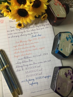 Mực Pelikan