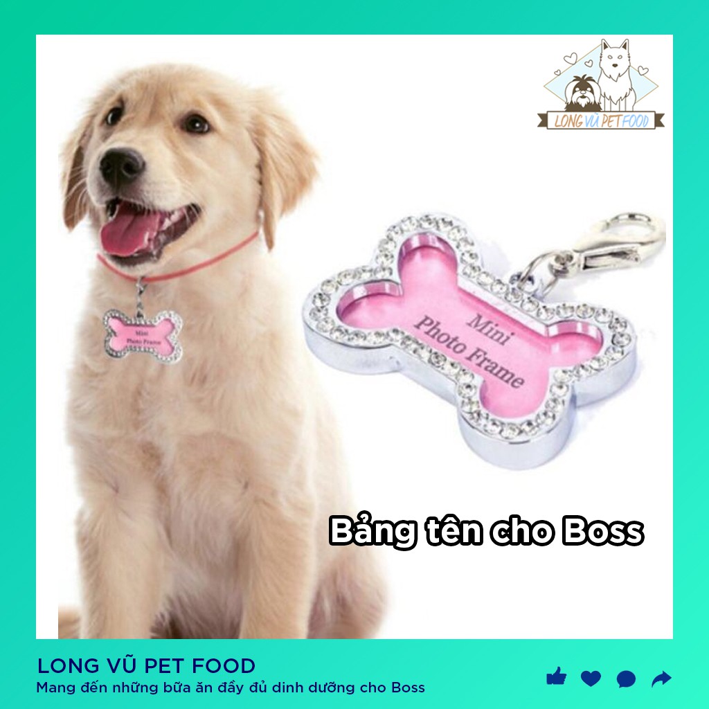 Bảng tên đeo chó mèo - Thẻ tên chống lạc