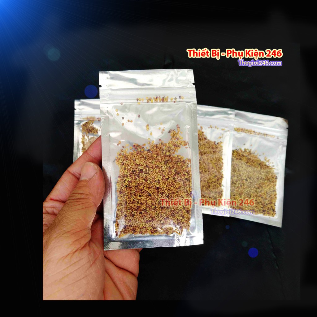 1 gói Hạt giống thủy sinh Cây Clover cỏ Ba lá tình yêu