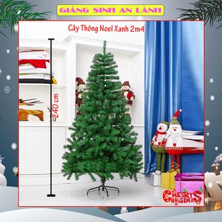 Cây thông noel 2m4 trang trí phòng khách, phòng ngủ, ngoài trời mùa giáng sinh tặng kèm ngôi sao đỉnh và dây kim tuyến