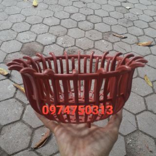 5 chậu nhựa trồng lan dáng sen f25