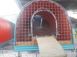 Bẫy chuột thông minh 2 cửa