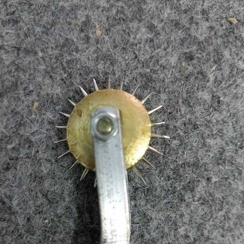 Con lăn dấu vải