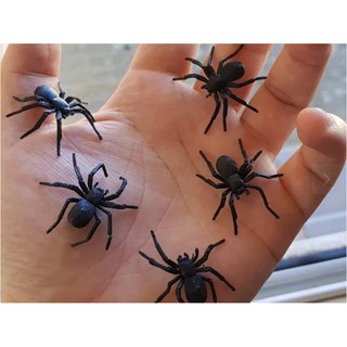 Set 5 Mô hình nhện tí hon trang trí Halloween, tiểu cảnh, kinh dị, ghê rợn, trang trí chuồng bò sát