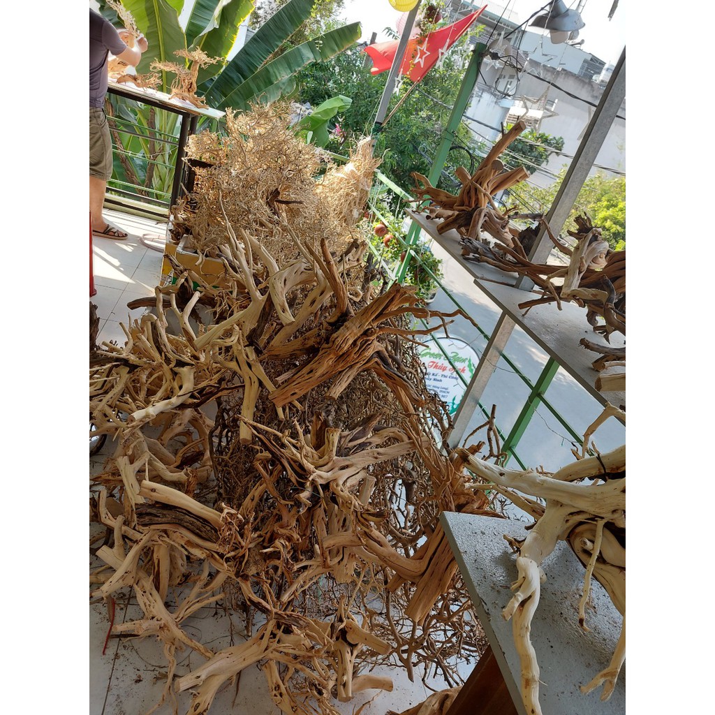 Lũa xương trùm, tán quýt dùng để tạo lũa dáng bonsai cho Bể Thuỷ Sinh, Bể Cá - 100g