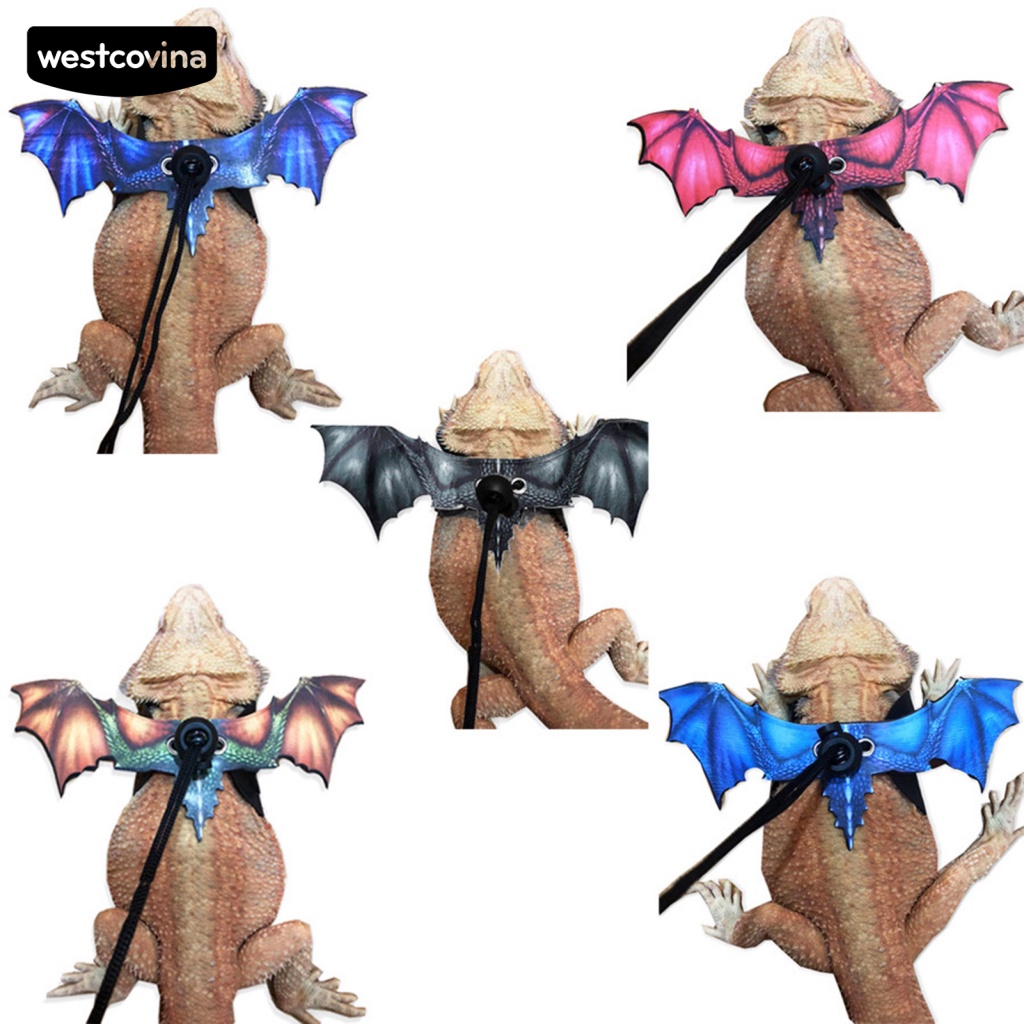 Dây Dắt Thú Cưng Bò Sát Thiết Kế Nhẹ Thoải Mái