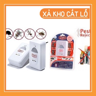 [FREE SHIP] Máy đuổi côn trùng Pest Reject [XẢ KHO HOT]