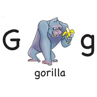 flashcard abcalphabet