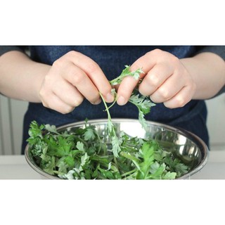 BỘT LÁ NGẢI CỨU 50G
