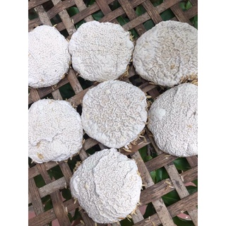 Men Rượu Gia Truyền [ 1kg ]