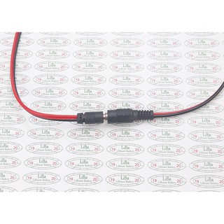 Zăc cắm 55*21 mm, 55*25 mm _ Liba