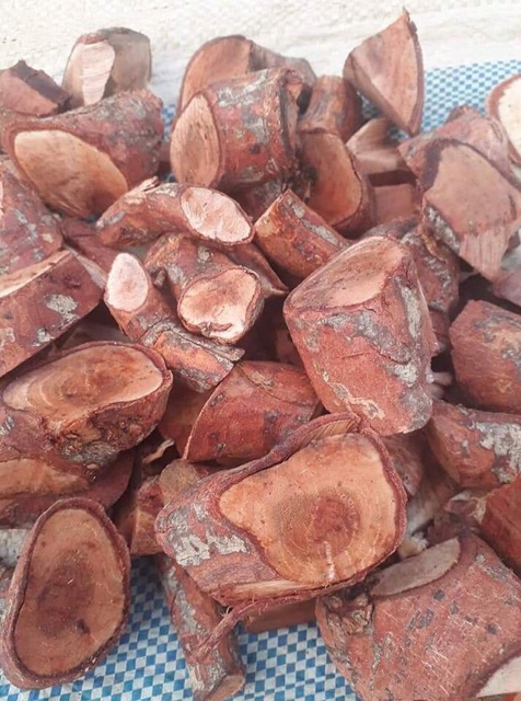 Combo 3 kg cây mú từn