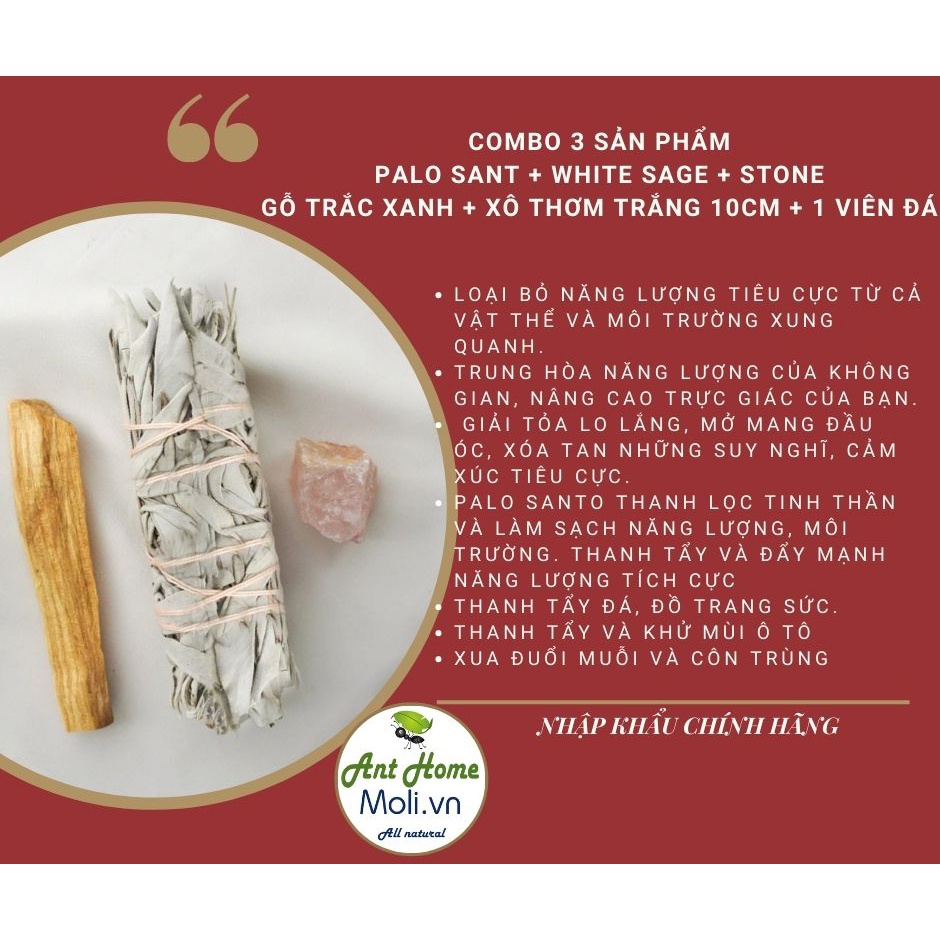 {3 sản phẩm} Palo sato 10cm + 1 bó xô thơm 10cm tặng 1 viên đá ngẫu nhiên