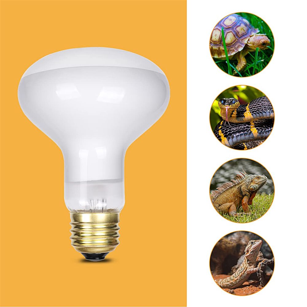 Bóng đèn UVA sưởi ấm nuôi bò sát tiện ích