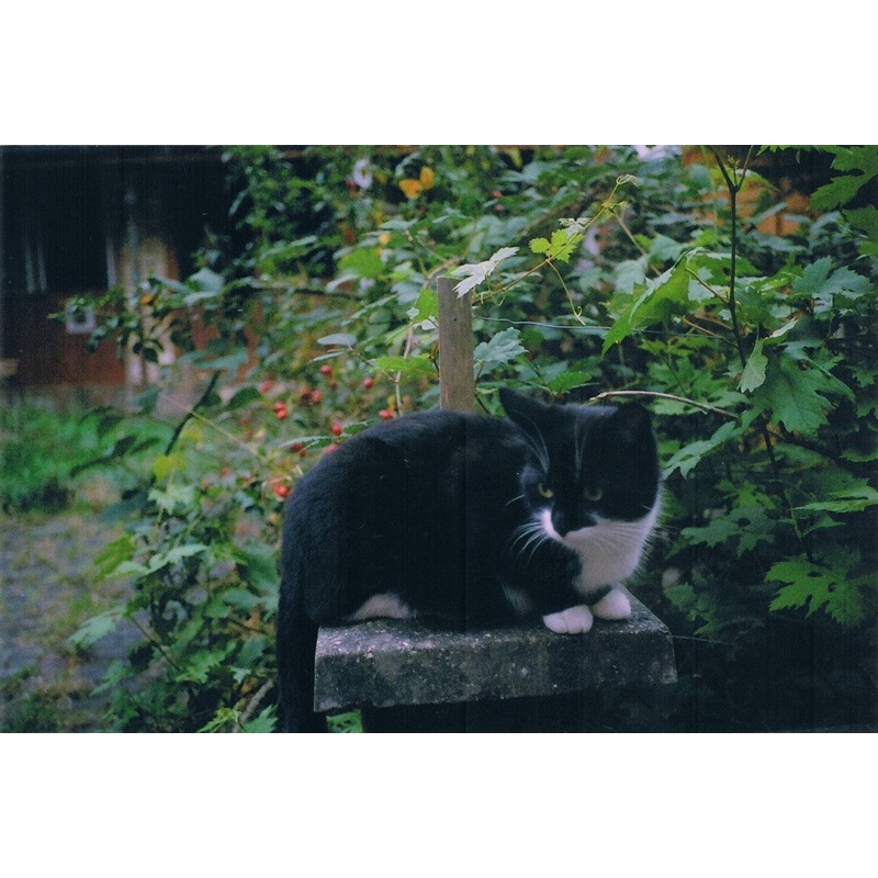 MÁY FILM KONICA C35 EF