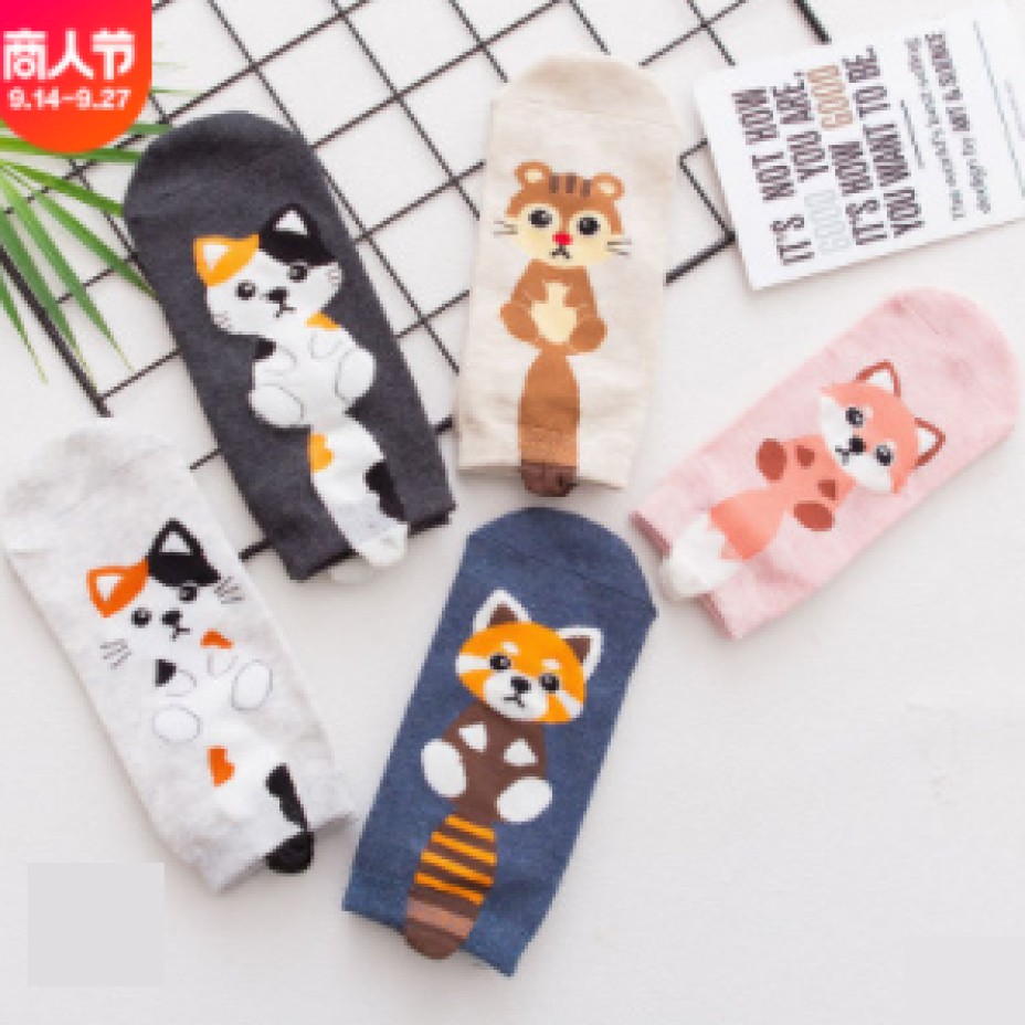 Combo 5 đôi vớ nữ hình con vật dễ thương, xinh xắn