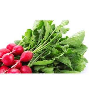 5gr - Hạt Giống Củ Cải Đỏ