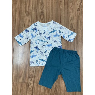 Bộ Moimoln cá heo xuất Hàn