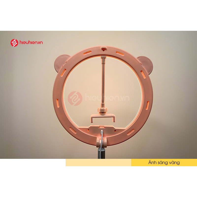 Đèn Led Livestream G3 Size ⚡FREE SHIP⚡ Tích Hợp Gương Trang Điểm Kèm Gía Đỡ Điện Thoại Để Bàn Có Thể Gập Gọn