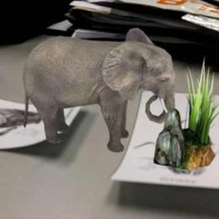 Thẻ học animal 4d