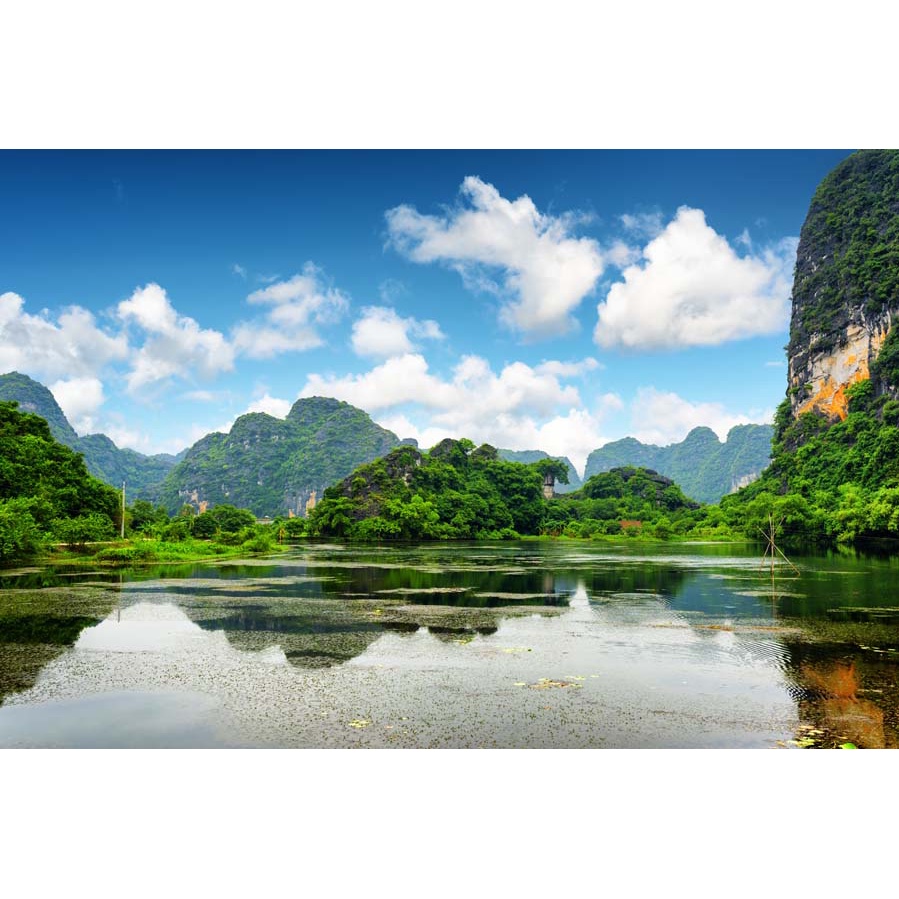 Tranh dán tường Việt Nam 3D HOT HIT