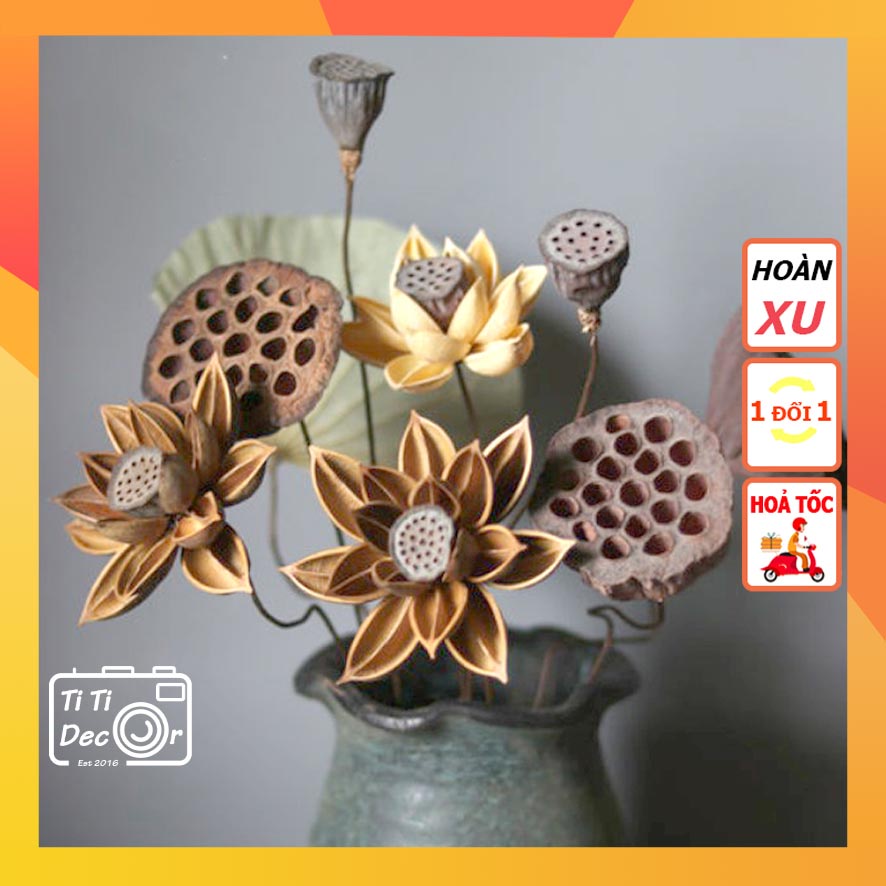 Hoa Khô Vintage TiTi Decor Hoa Sen Khô Trang Trí Phòng Khách, Phòng Thiền - Zen, Hoa Lá Vintage