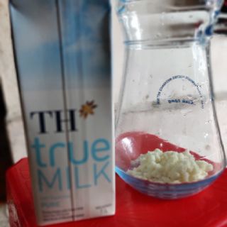 Nấm sữa KEFIR