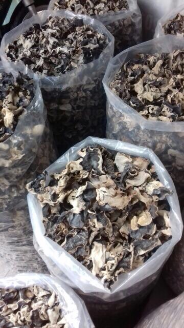 Mộc nhĩ Đà Lạt sạch 100gr