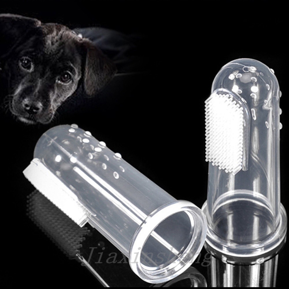 Bàn chải chăm sóc răng miệng tiện dụng dành cho thú cưng