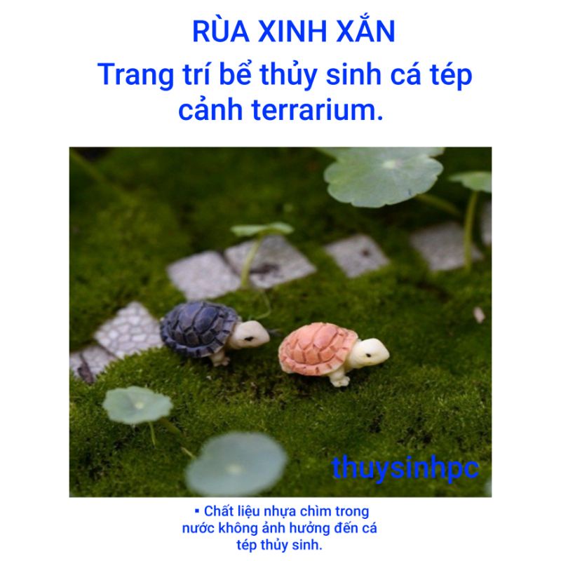 Mô hình rùa xinh xắn trang trí bể thủy sinh cá cảnh