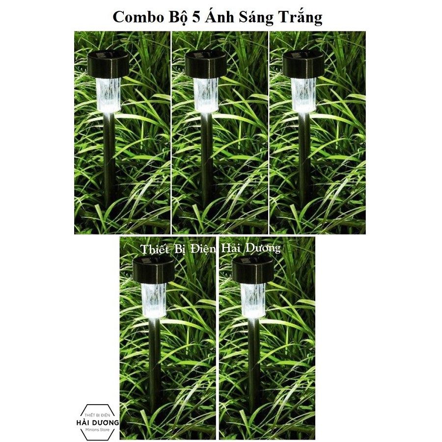 Combo Bộ 5 Đèn Cắm Đất Năng Lượng Mặt Trời Trang Trí Sân Vườn TN334 ( Thân Bọc Thép Không Gỉ ) - pin 600mAh