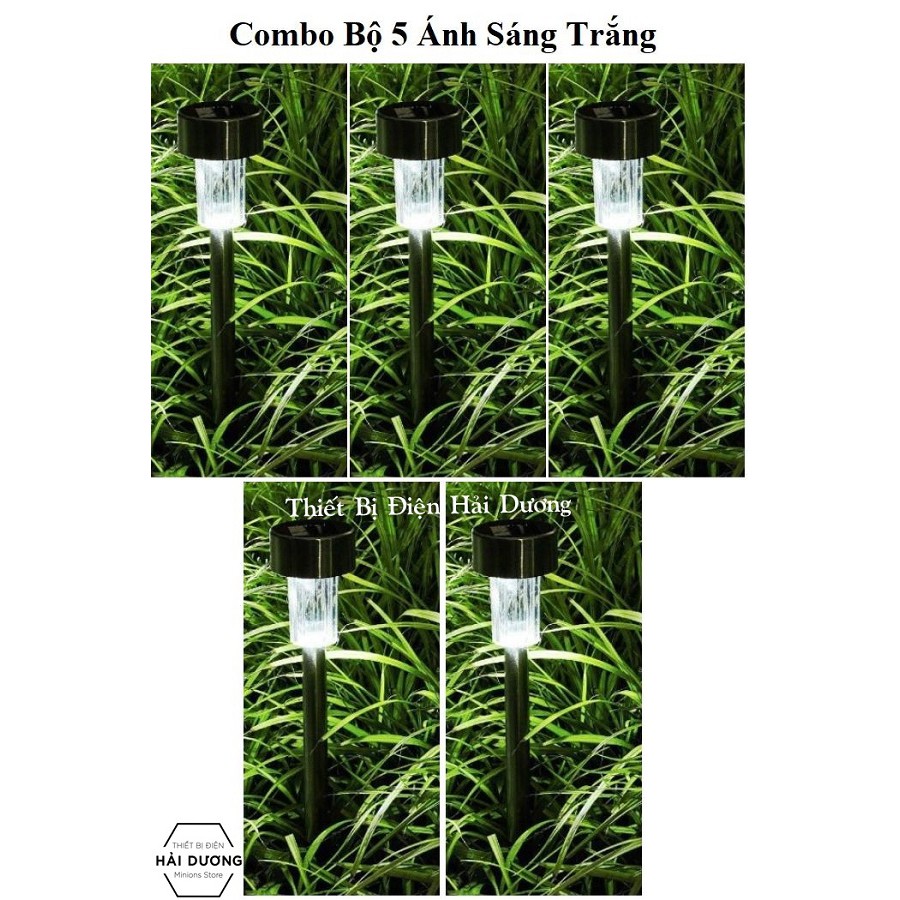 Combo Bộ 5 Đèn Cắm Đất Năng Lượng Mặt Trời Trang Trí Sân Vườn TN334 ( Thân Bọc Thép Không Gỉ ) - pin 600mAh