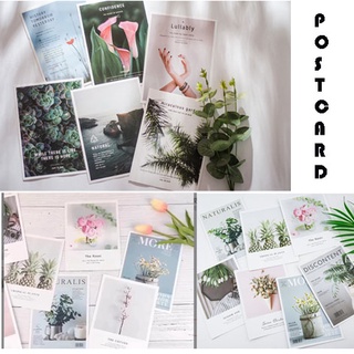 TẤM POSTCARD KHỔ LỚN, Hình ảnh đẹp sắc nét, phụ kiện decor chụp ảnh siêu đẹp