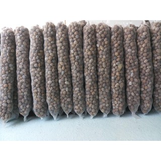 GIẢM 10% (ĐƠN TRÊN 100k)  Bán phân dê đã sử lý bón cho lan túi lưới 20cm (mua 10 tặng 1)