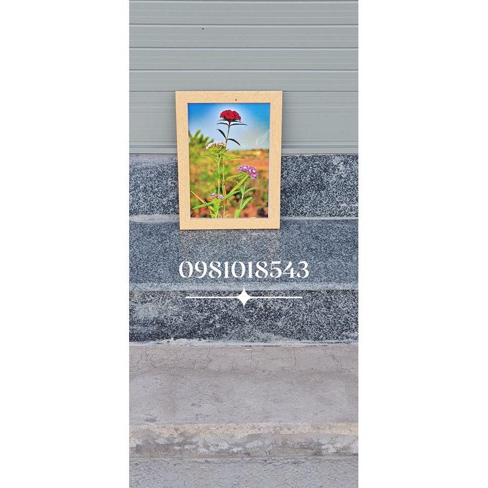 khung ảnh a4 -khung ảnh đẹp-giá rẻ-bảo hành gãy vỡ-( free ship extra- video ảnh thật)