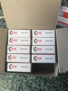 Bạc đạn 6202 HTB