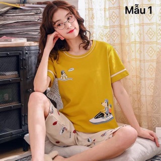 Bộ mặc nhà nữ