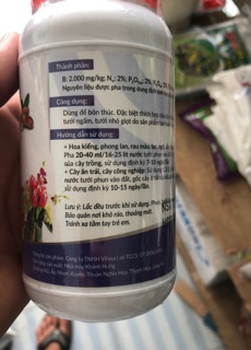 Dịch Bánh Dầu Đậu Phộng 250ml