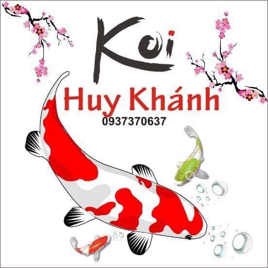 Thức ăn cá koi Rio - bao 4kg hạt cám