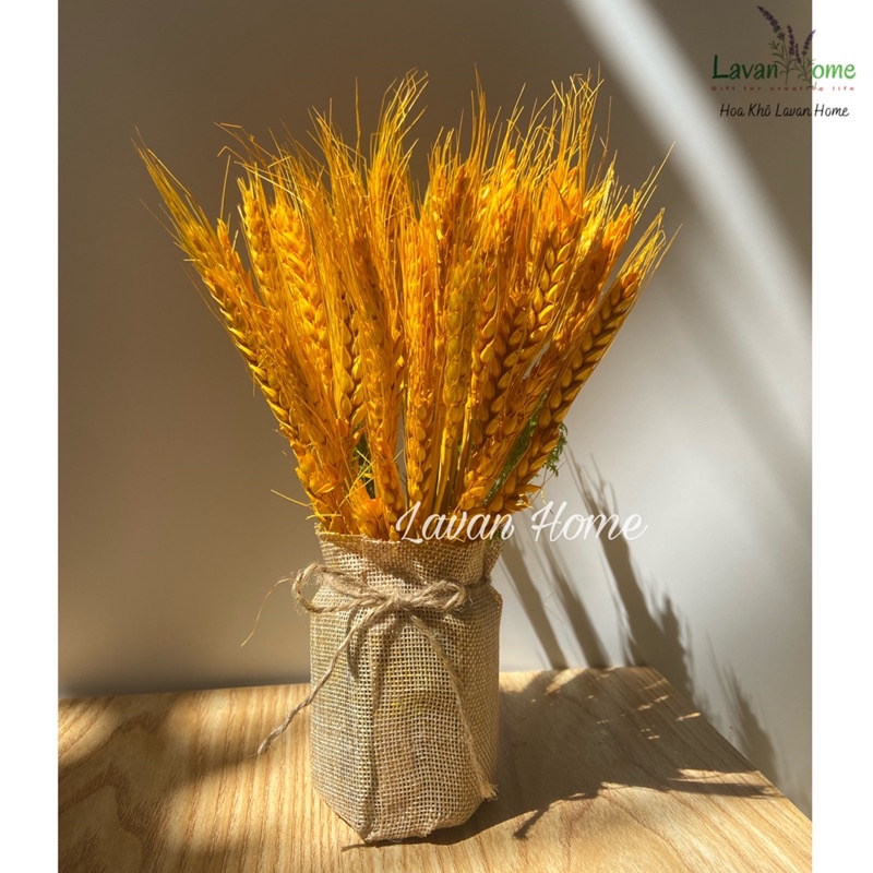 Bình hoa lúa mạch vàng để bàn làm việc, trang trí nhà, quà tặng khai trương, hoa chúc tết, bình hoa khô phong thủy
