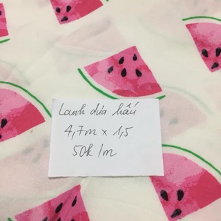 Combo lanh dưa hấu, mèo và xô