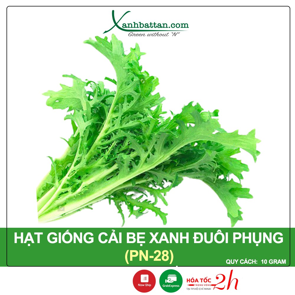 Hạt Giống Cải Bẹ Xanh Đuôi Phụng Phú Nông Gói 10 Gram