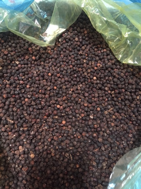 hạt tiêu đen nhà trồng ko cay đền tiền 500g | BigBuy360 - bigbuy360.vn