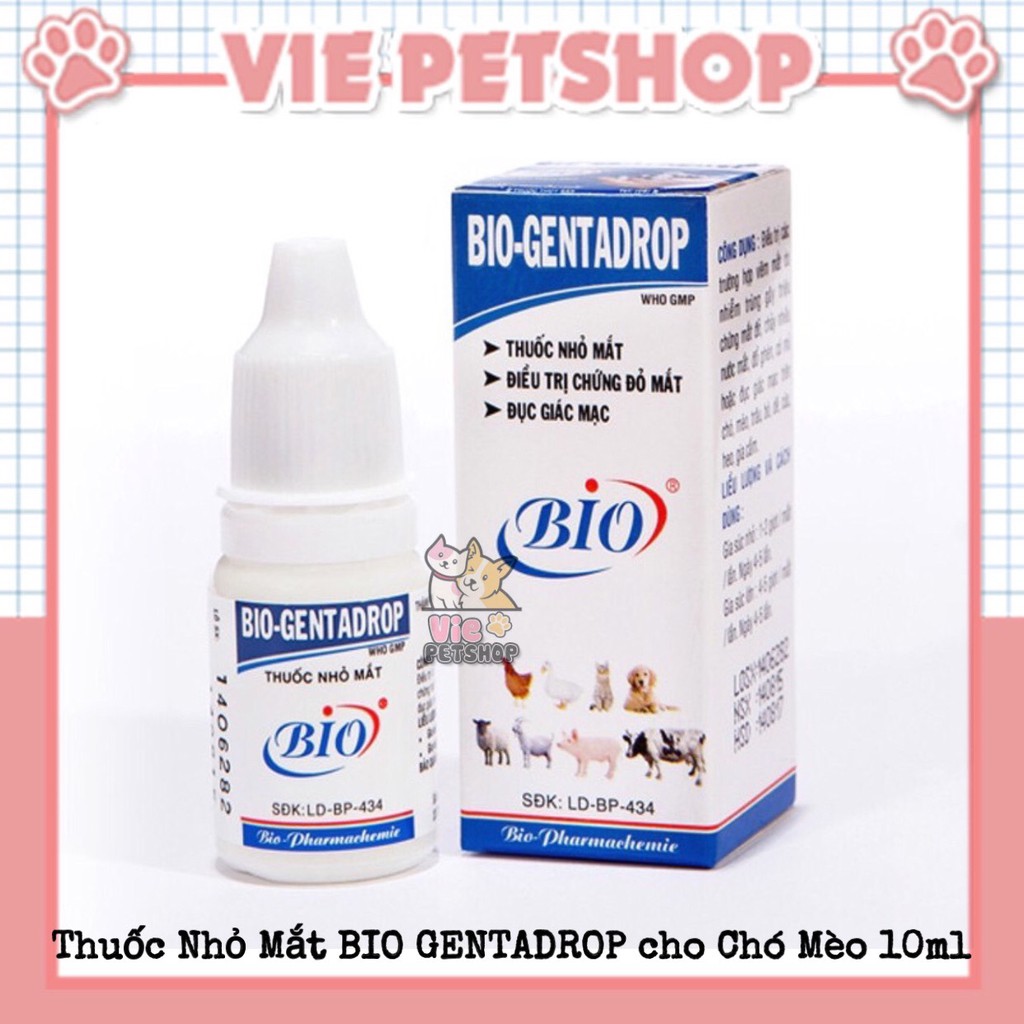 [CHÍNH HÃNG] Dung Dịch Nhỏ Mắt BIO GENTADROP cho Chó Mèo 10ml | Vie PETSHOP