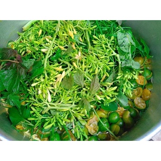 SIRO HÚNG CHANH (Mẹ Sâuty)
