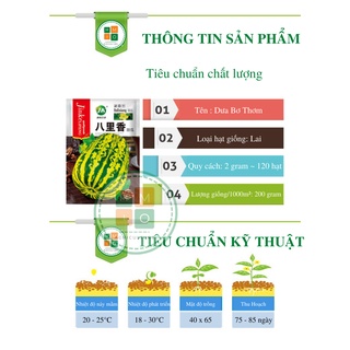 Hạt giống dưa bở thơm