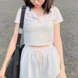 áo thun polo croptop cổ trụ